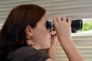 חקירות כלכליות מועילות